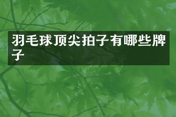 羽毛球顶尖拍子有哪些牌子
