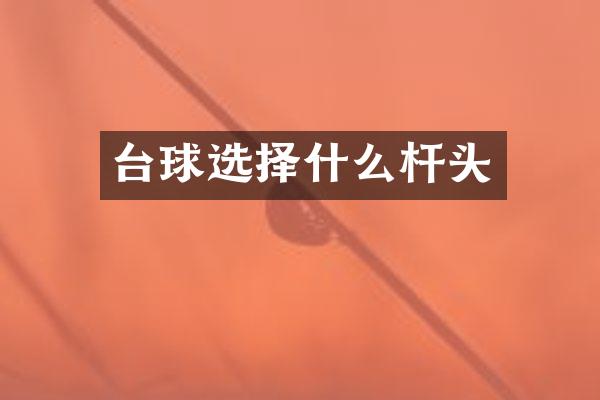 台球选择什么杆头
