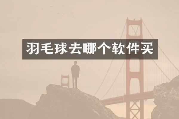 羽毛球去哪个软件买