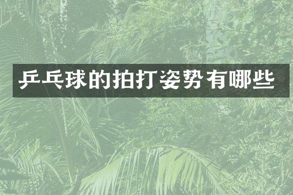 乒乓球的拍打姿势有哪些