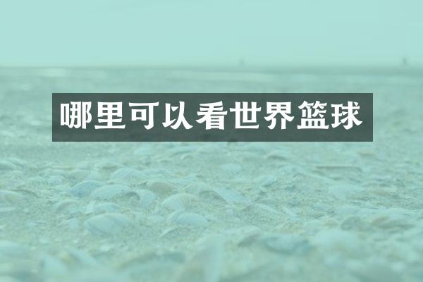 哪里可以看世界篮球