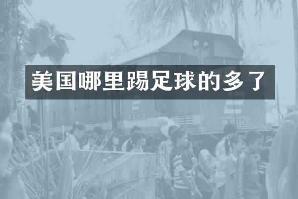 美国哪里踢足球的多了