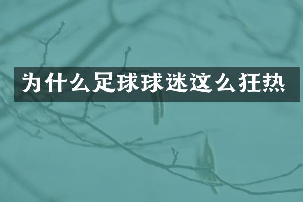 为什么足球球迷这么狂热