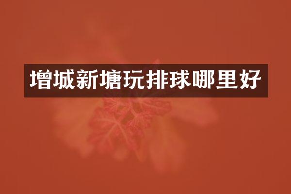 增城新塘玩排球哪里好