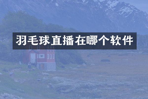 羽毛球直播在哪个软件