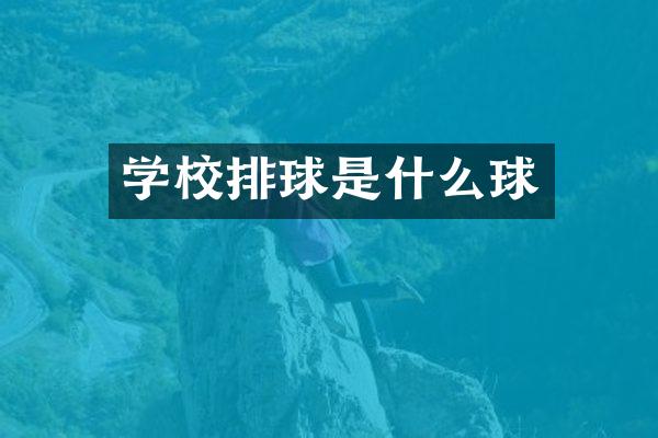 学校排球是什么球