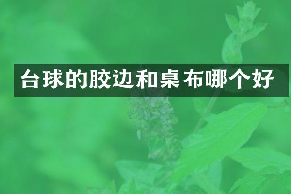 台球的胶边和桌布哪个好