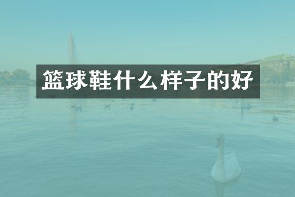 篮球鞋什么样子的好