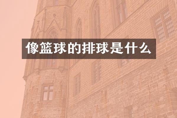 像篮球的排球是什么