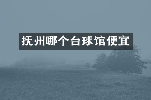 抚州哪个台球馆便宜