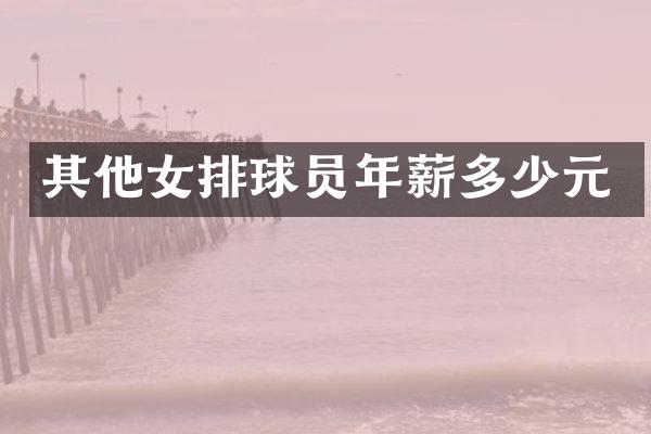 其他女排球员年薪多少元