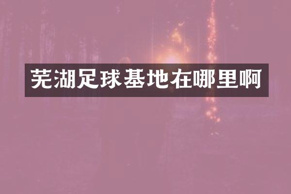 芜湖足球基地在哪里啊
