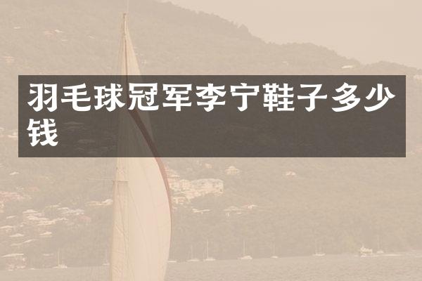 羽毛球冠军李宁鞋子多少钱