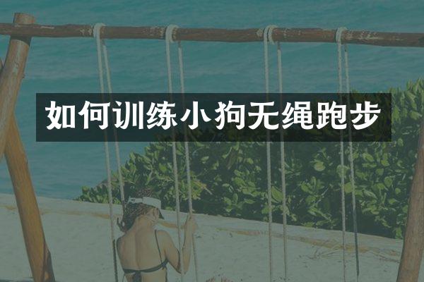 如何训练小狗无绳跑步