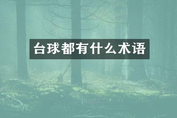 台球都有什么术语