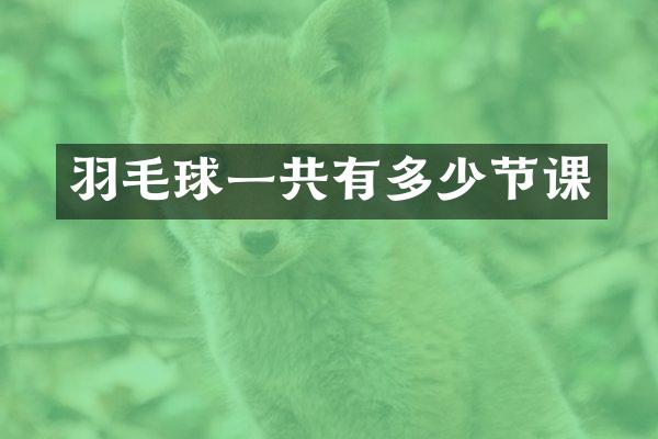 羽毛球一共有多少节课