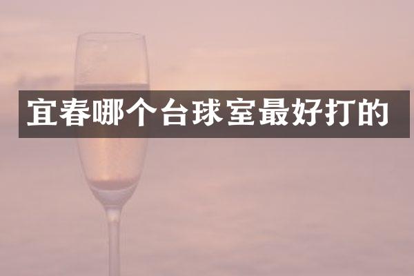 宜春哪个台球室最好打的