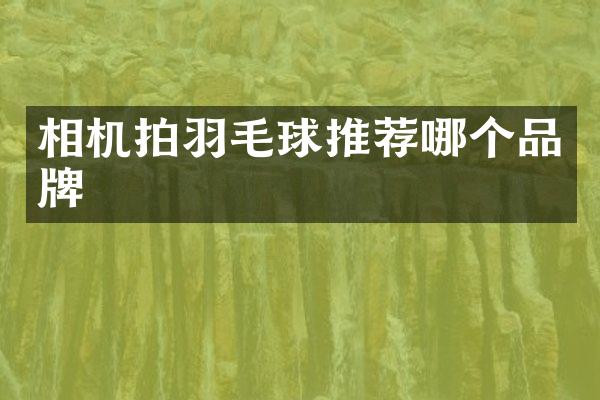 相机拍羽毛球推荐哪个品牌