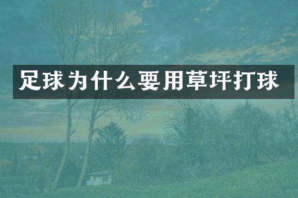 足球为什么要用草坪打球