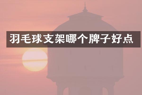 羽毛球支架哪个牌子好点