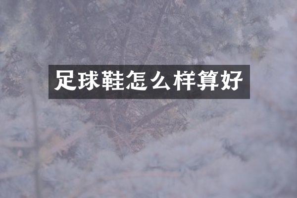足球鞋怎么样算好