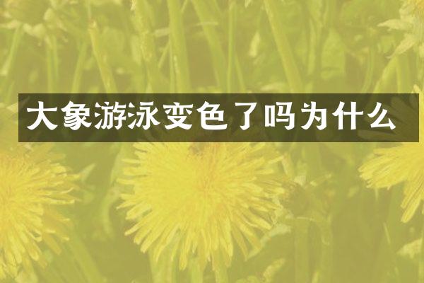 大象游泳变色了吗为什么