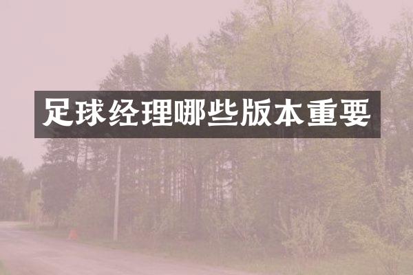 足球经理哪些版本重要