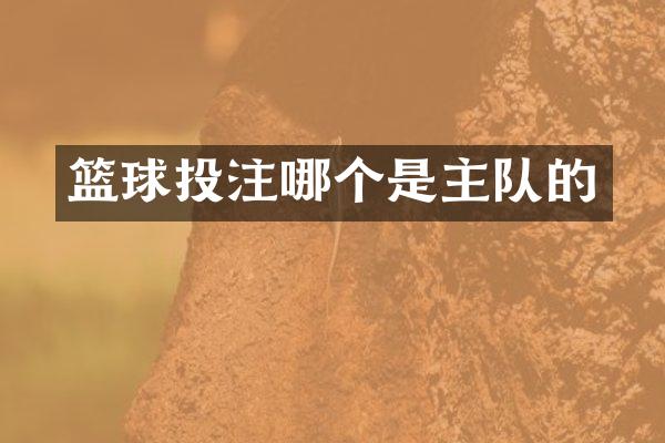 篮球哪个是主队的