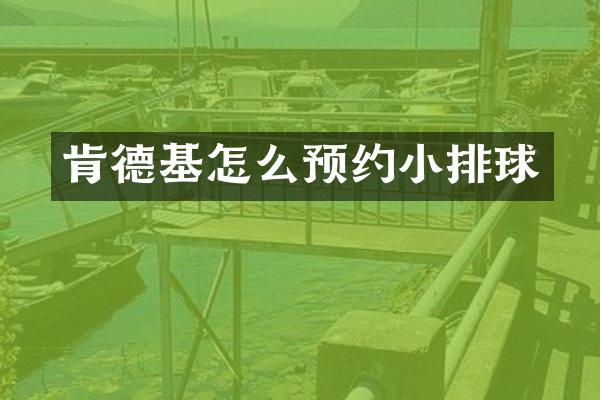 肯德基怎么预约小排球