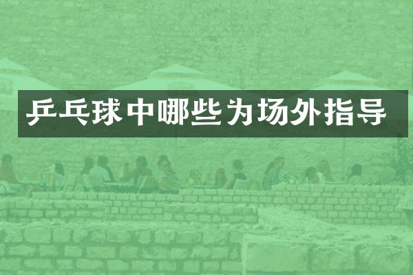 乒乓球中哪些为场外指导
