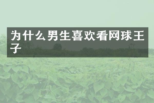 为什么男生喜欢看网球王子