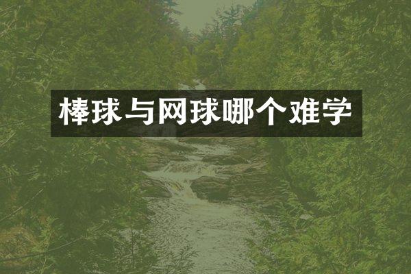棒球与网球哪个难学
