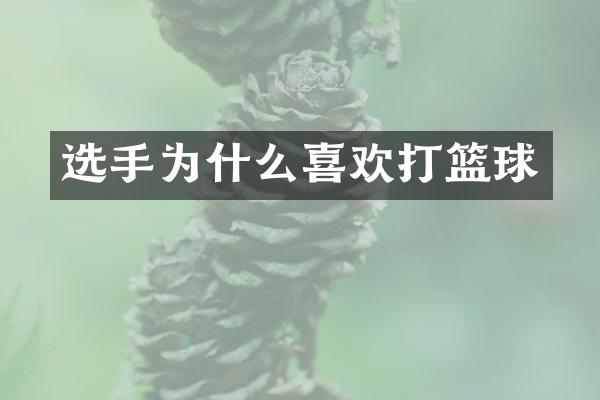 选手为什么喜欢打篮球