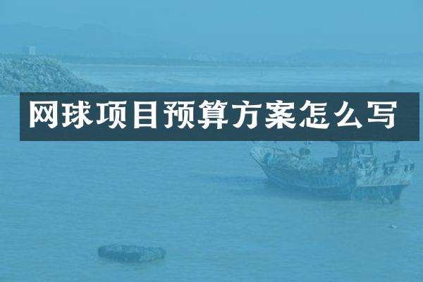 网球项目预算方案怎么写