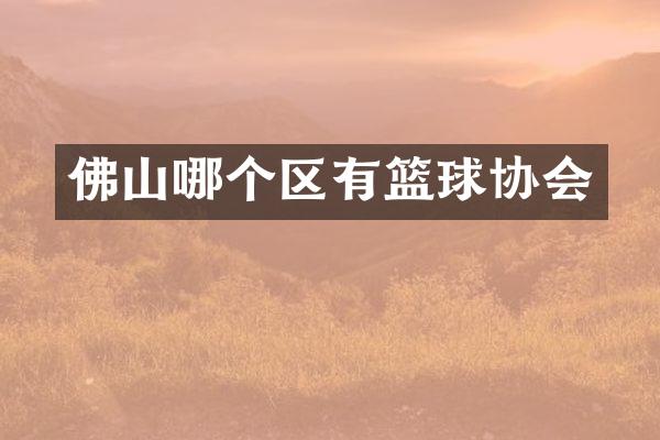 佛山哪个区有篮球协会