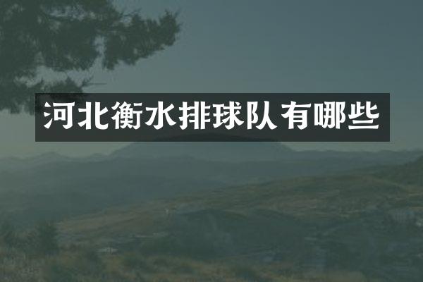 河北衡水排球队有哪些