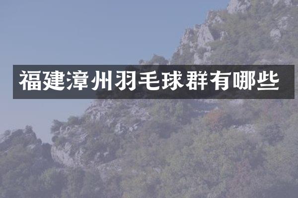 福建漳州羽毛球群有哪些