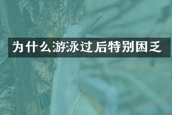 为什么游泳过后特别困乏