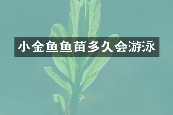 小金鱼鱼苗多久会游泳