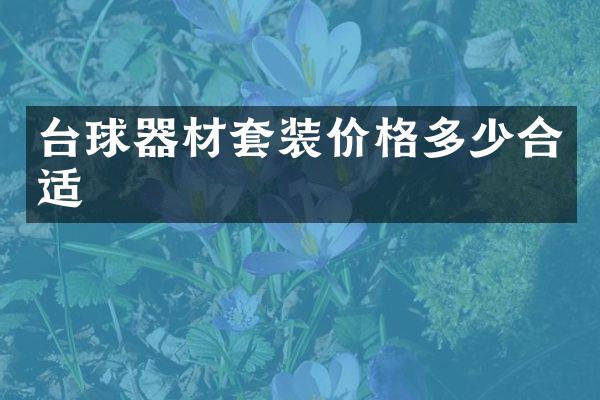 台球器材套装价格多少合适