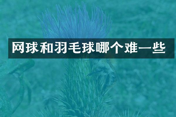 网球和羽毛球哪个难一些