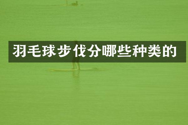 羽毛球步伐分哪些种类的