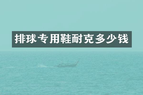 排球专用鞋耐克多少钱