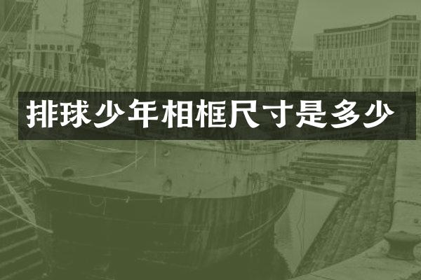 排球少年相框尺寸是多少