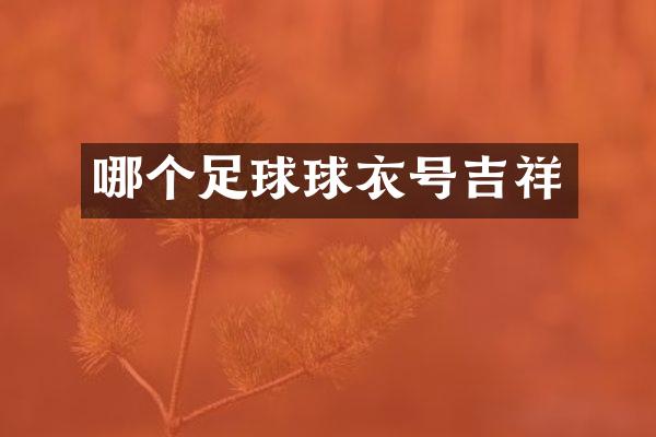 哪个足球球衣号吉祥