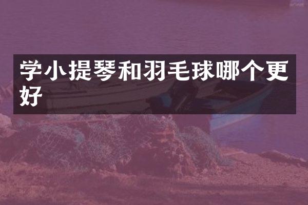 学小提琴和羽毛球哪个更好