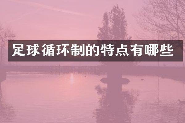 足球循环制的特点有哪些
