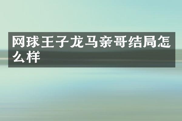网球王子龙马亲哥结局怎么样
