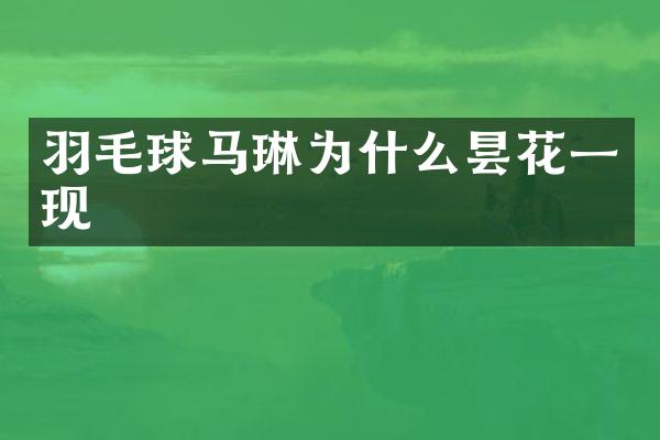 羽毛球马琳为什么昙花一现