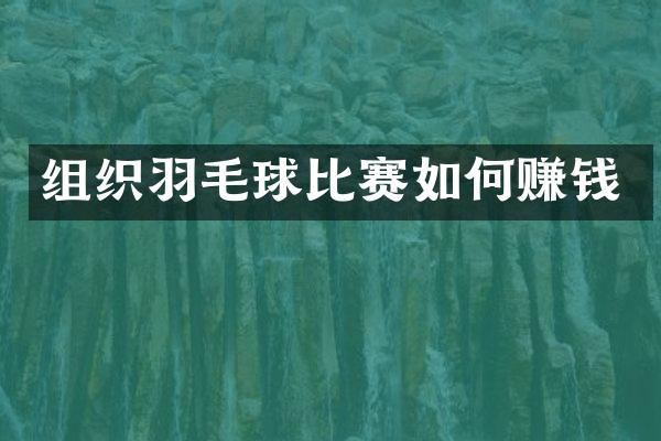 组织羽毛球比赛如何赚钱